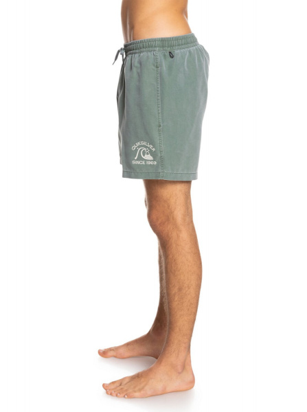 Шорты для плавания Surfwash (Мужской; XL; laurel wreath)